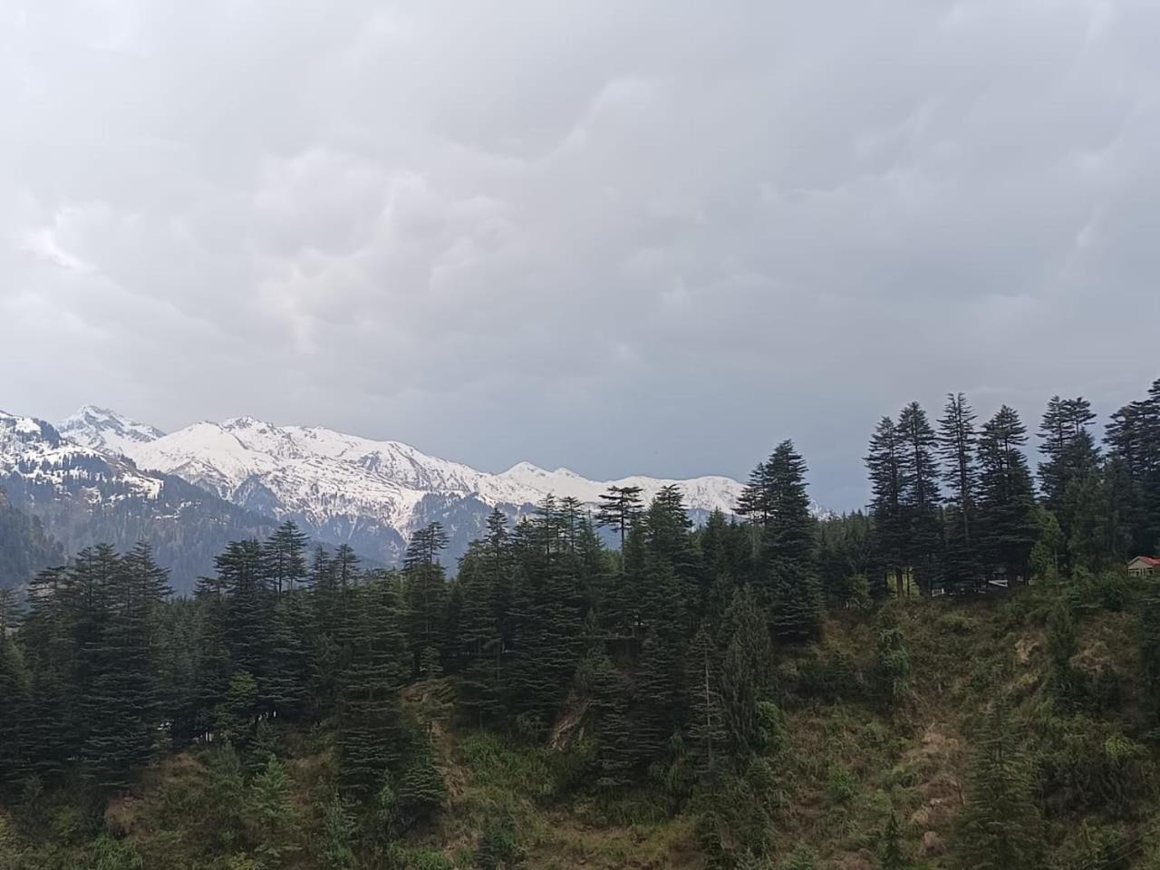 Non Stop Cafe Hostel & Stay Manali  Ruang foto